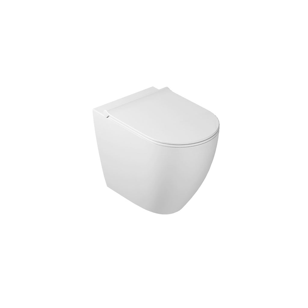 Galassia Dream 7337 vaso senza brida